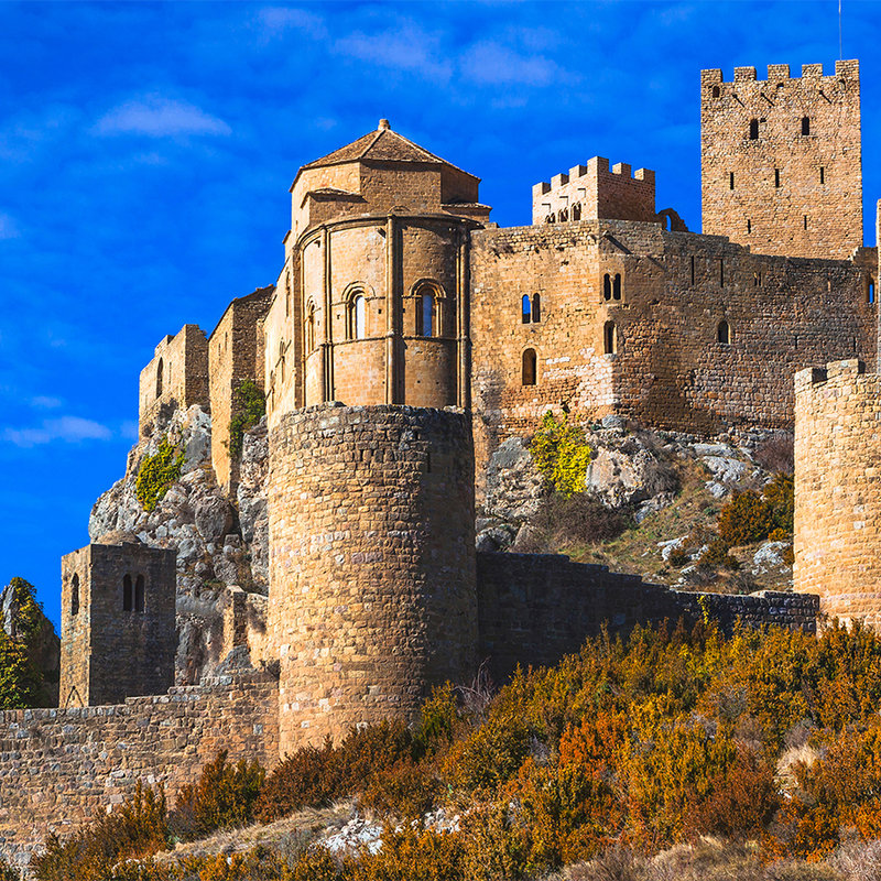 Digital behang Oud kasteel met stenen muur - parelmoer glad vlies
