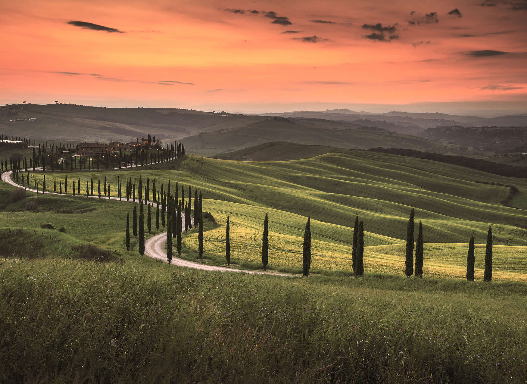             Toscaans landschap bij schemering - groen, oranje
        