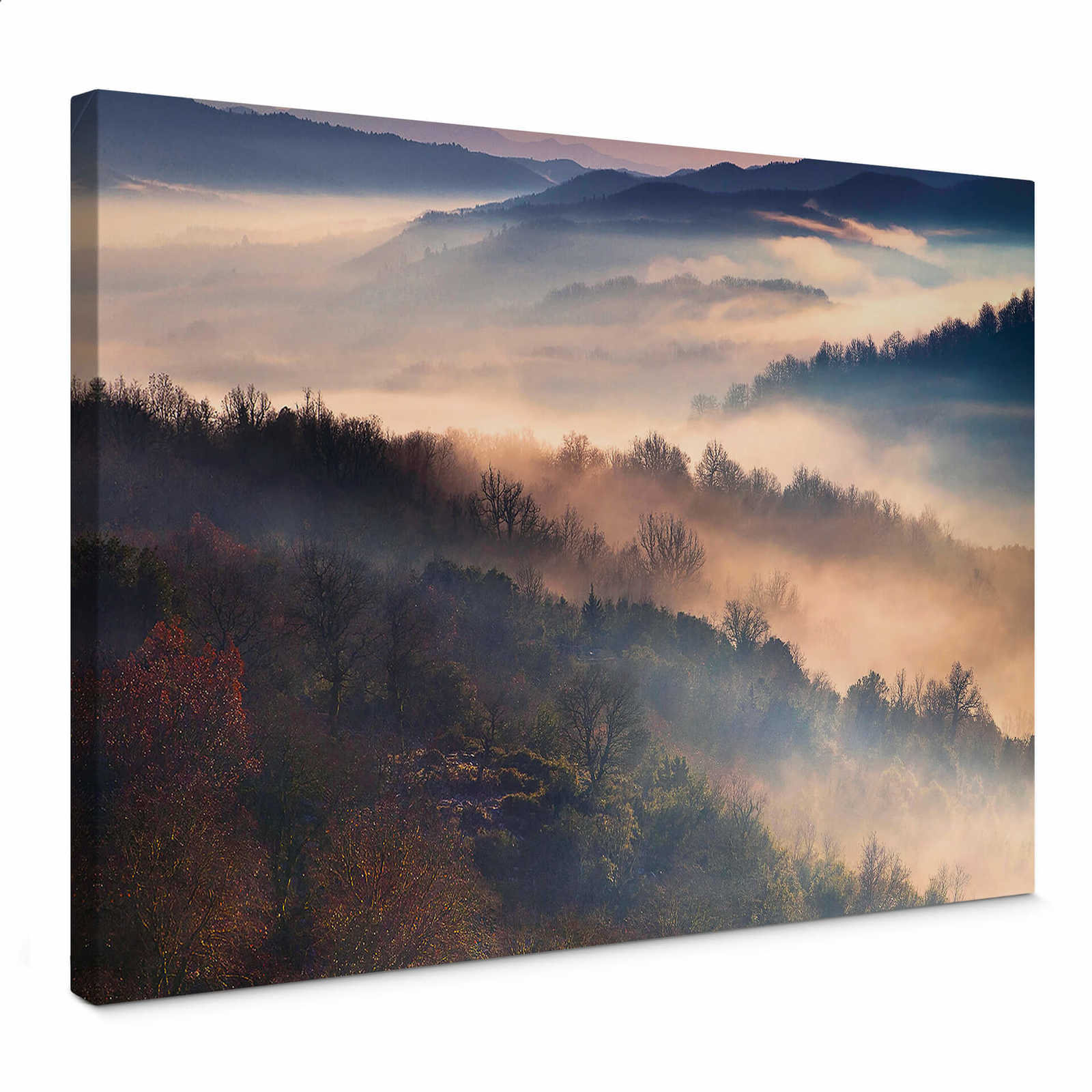         Artemiadi canvas print forest panorama in the fog
    