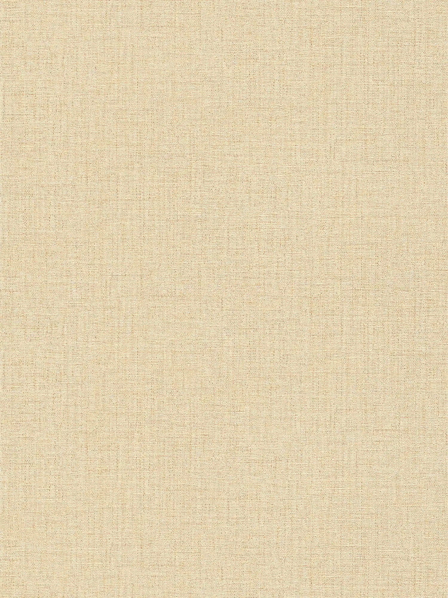 Textile look wallpaper mottled with structure - beige
