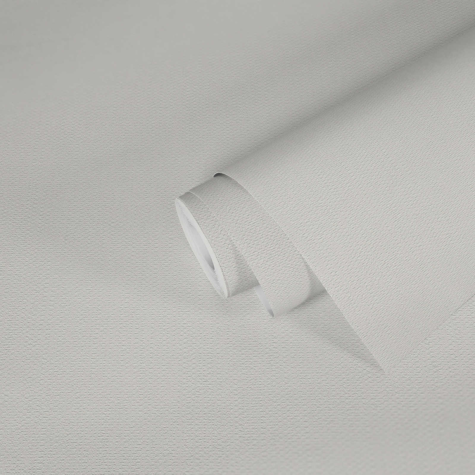             Carta da parati verniciabile in tessuto non tessuto con struttura - bianco
        