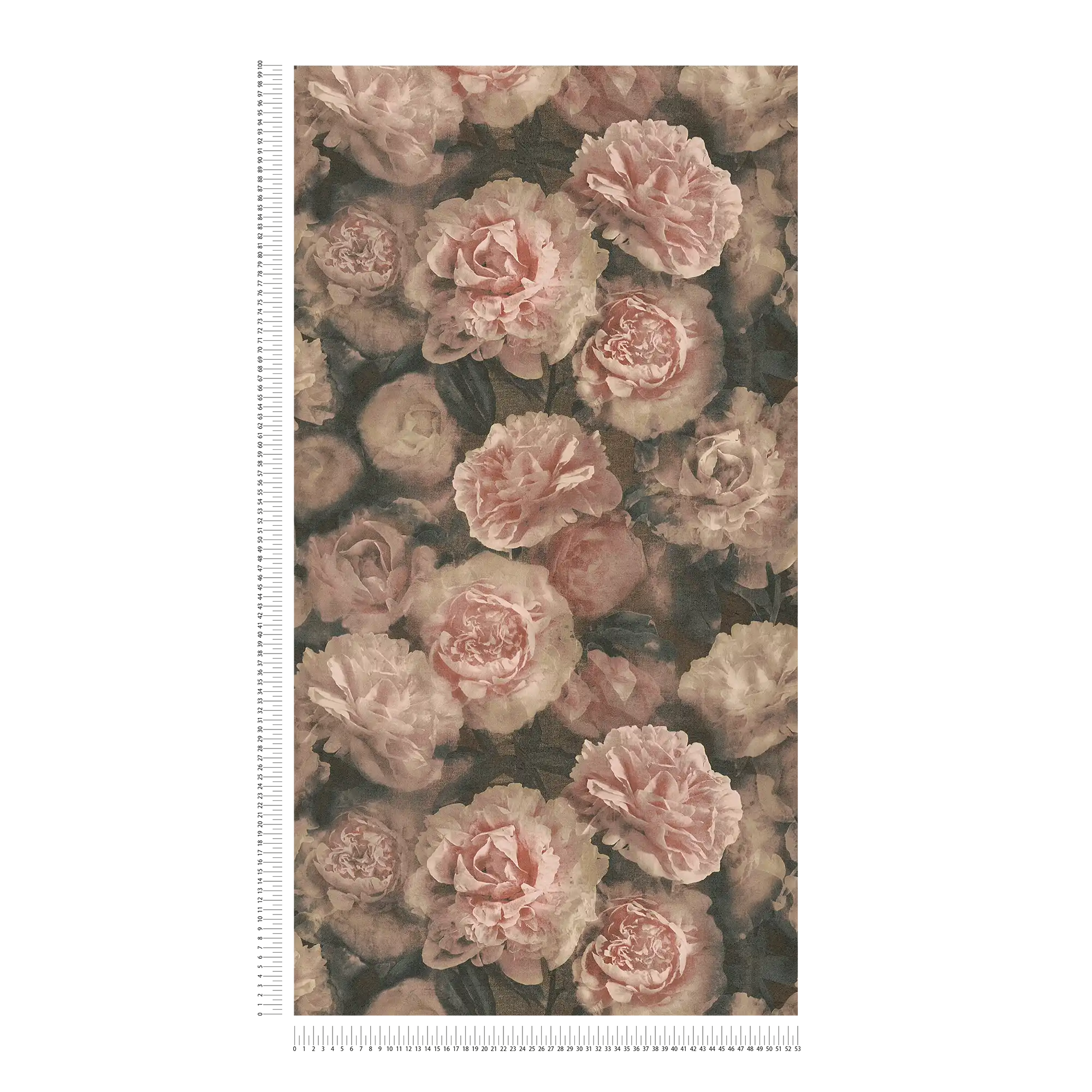             Papel pintado floral de aspecto vintage rosas - rosa, rojo, negro
        