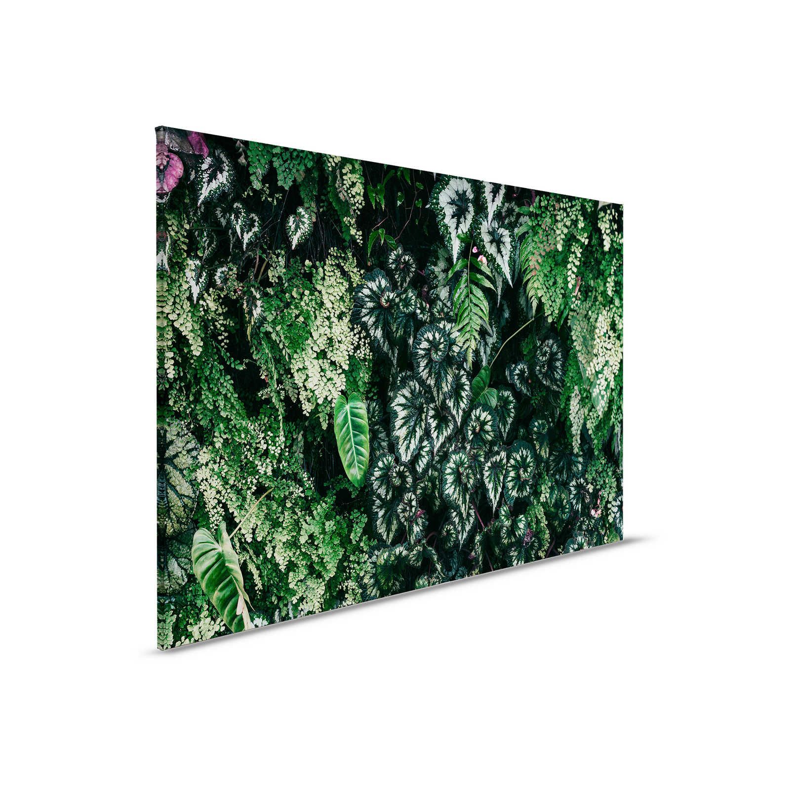 Deep Green 2 - Quadro su tela con foliage, felci e piante pendenti - 0,90 m x 0,60 m
