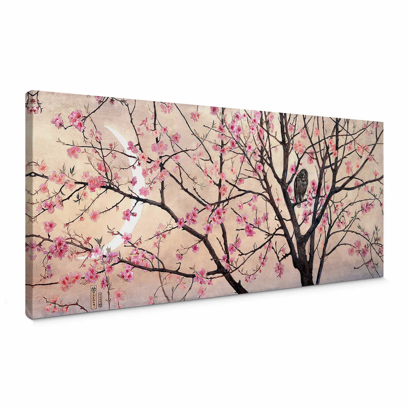         Canvas picture of cherry blossom tree with owl
    