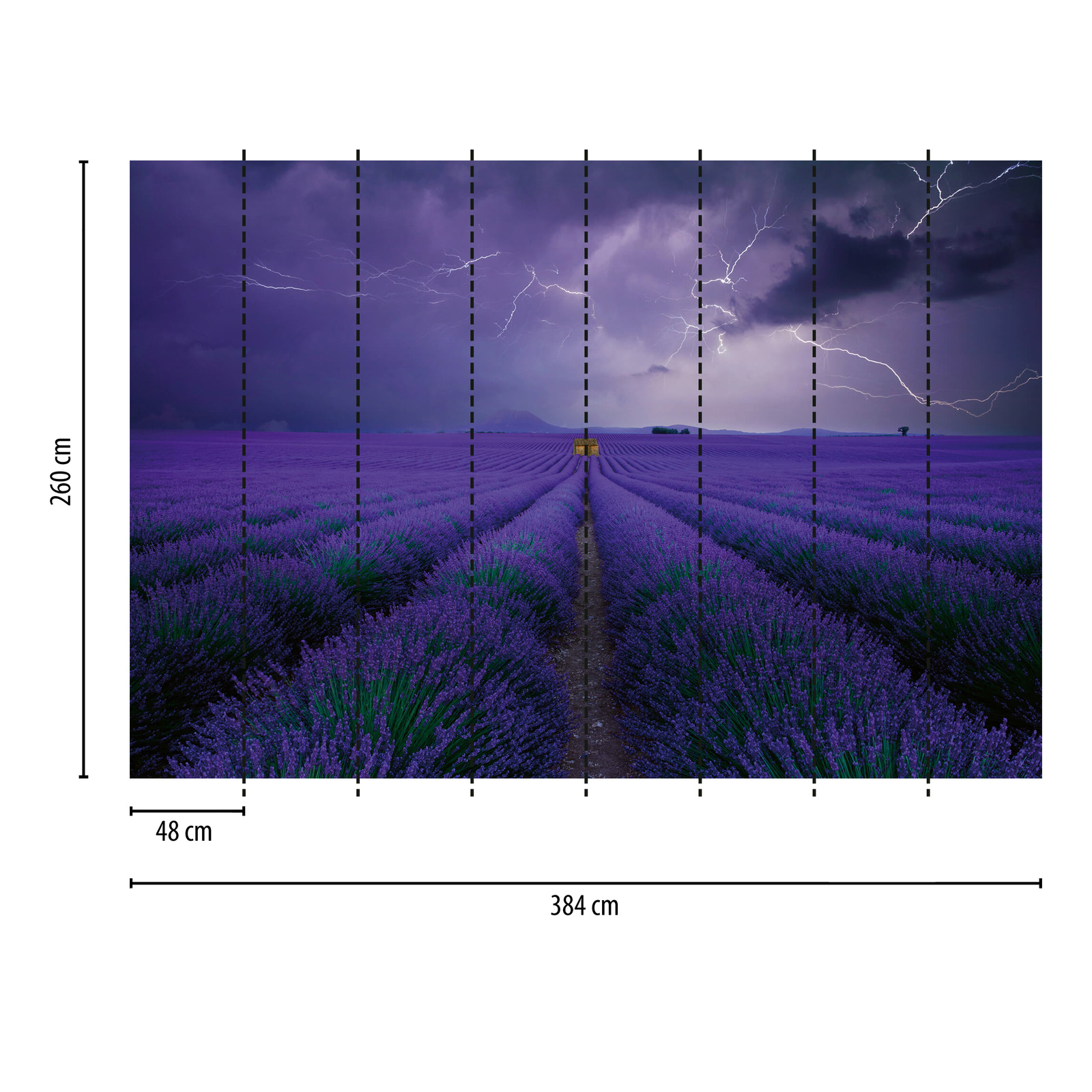             Photo wallpaper lavender field - purple, green, brown
        