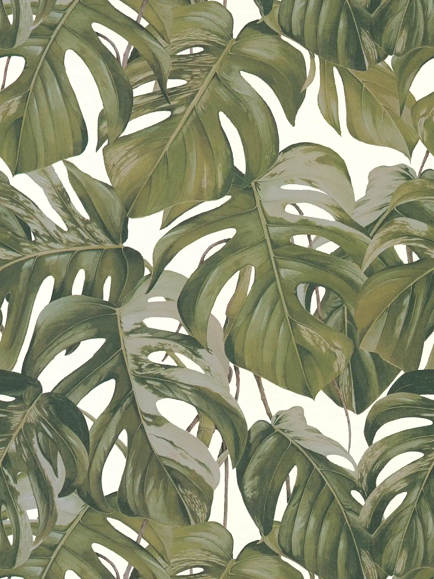 Non-woven wallpaper Monstera leaves pattern - grey, green, white