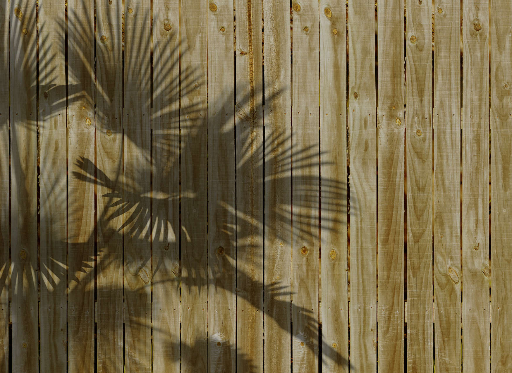             Papier peint panoramique imitation bois et ombres de feuilles de palmier - Beige
        