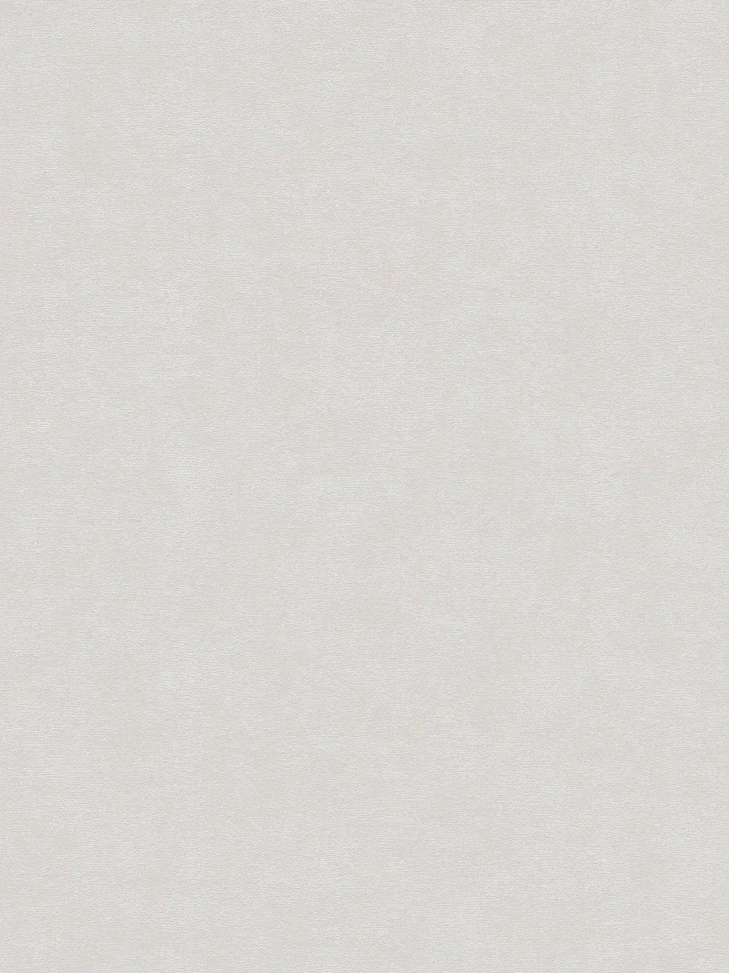 Single-coloured non-woven wallpaper with a light texture - grey
