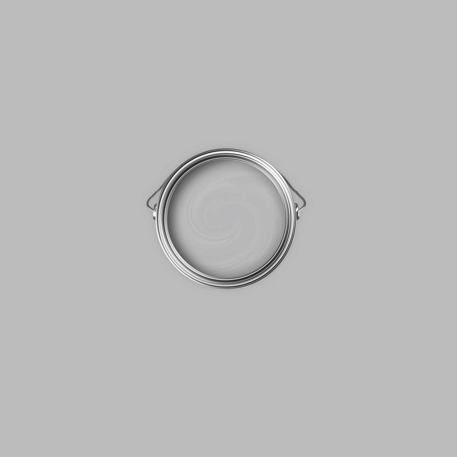             Premium Muurverf Balanced Silver »Industrial Grey« NW101 – 1 liter
        