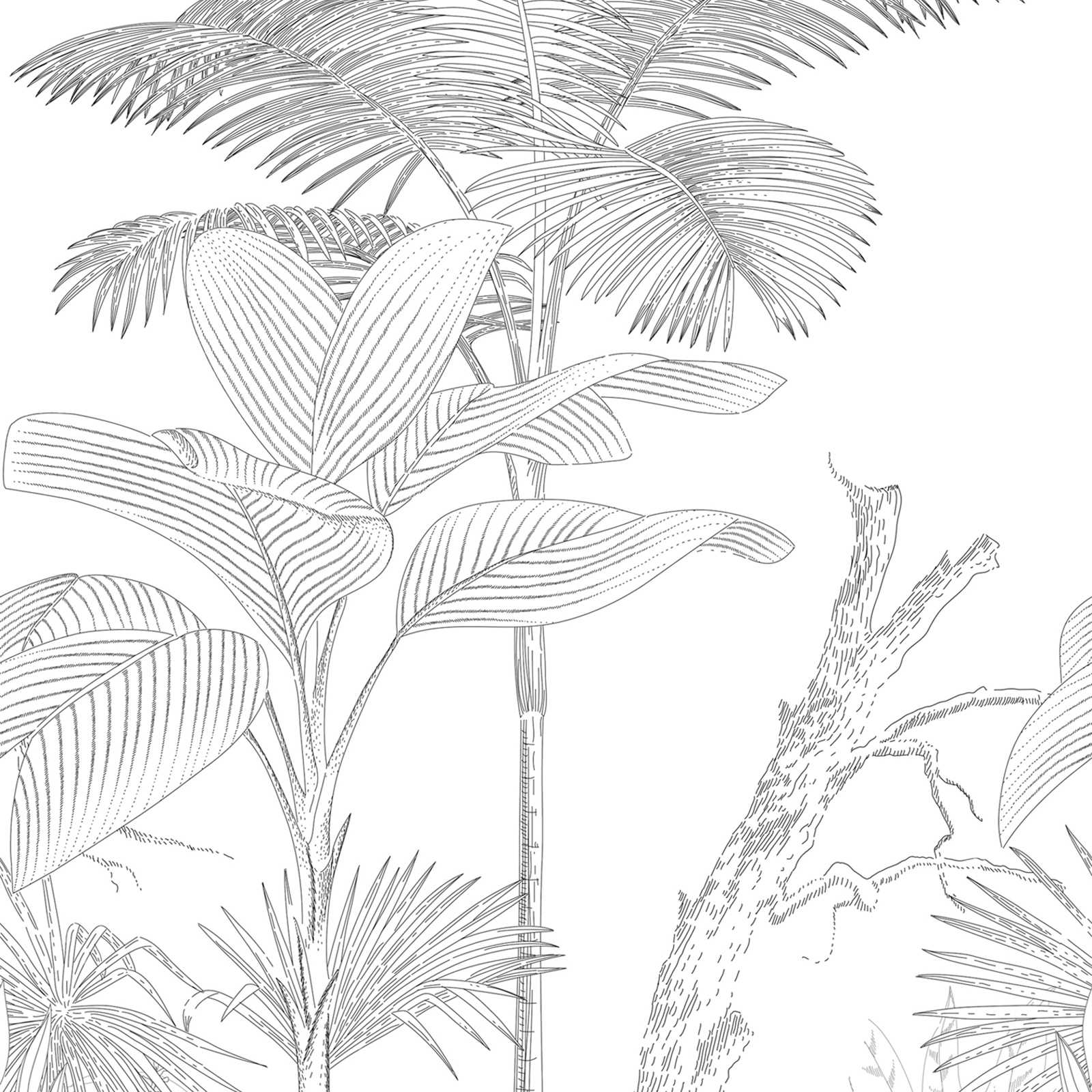 Vliesbehang met getekend jungle-motief - zwart, wit
