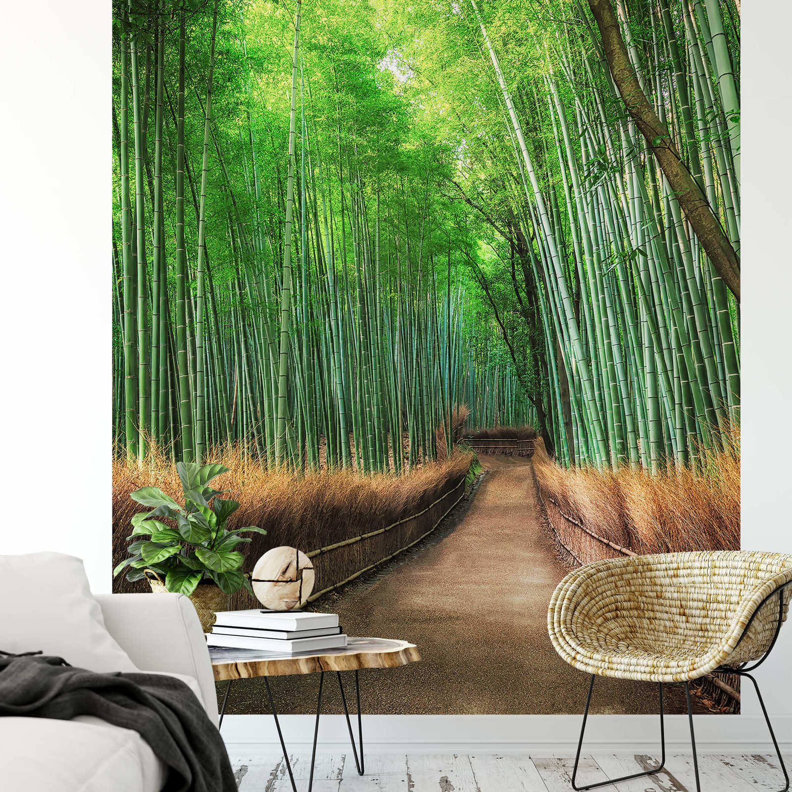             Narrow wall mural forest path - Brown, Green
        