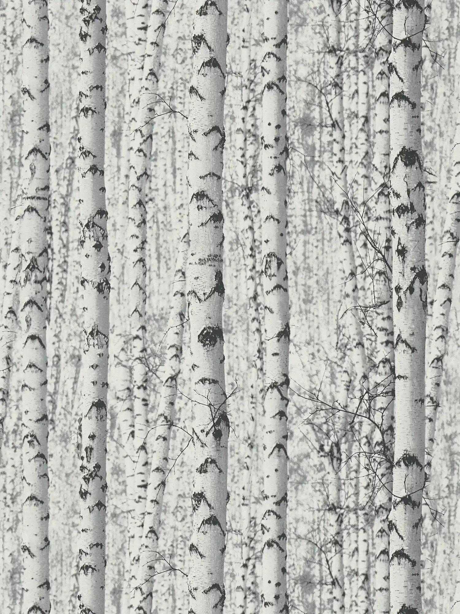 Carta da parati in bianco e nero foresta di betulle 3D - bianco, nero
