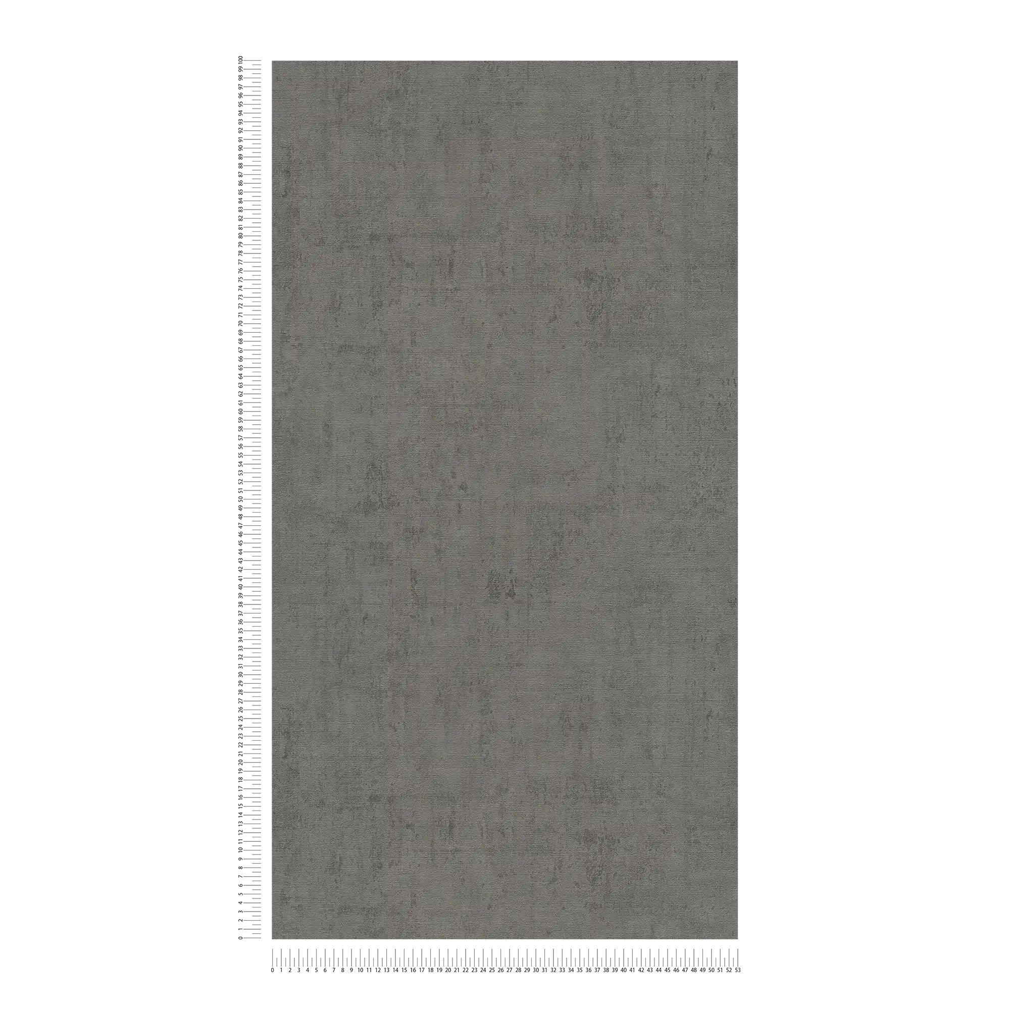             Papel pintado de color gris oscuro con estructura de yeso y en relieve
        