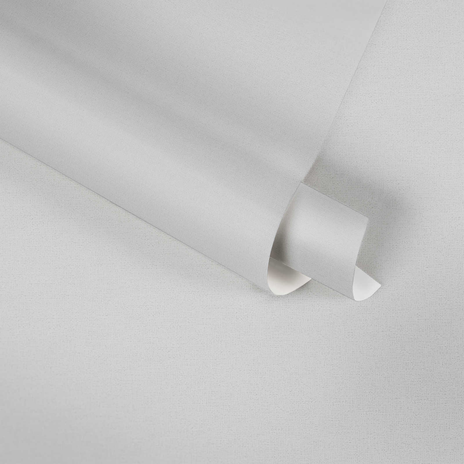             Carta da parati in tessuto non tessuto grigio di MICHASLKY, tinta unita con struttura tessile
        
