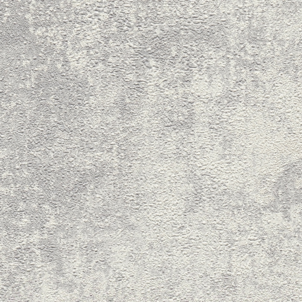             Non-woven wallpaper with disc plaster look & texture pattern - grey, silver
        