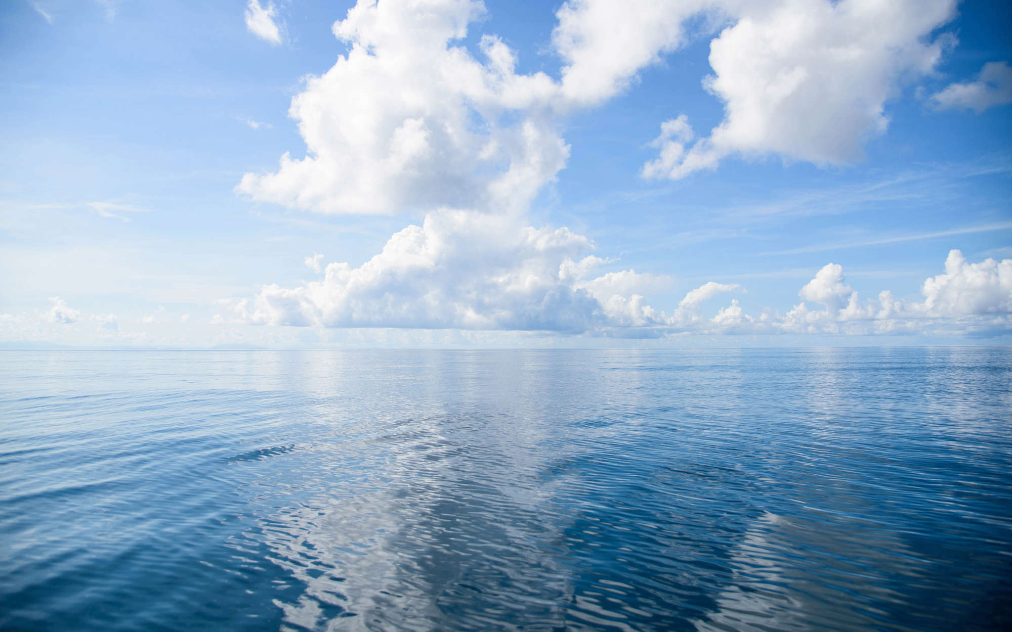             Digital behang open zee met wolken - parelmoer glad vlies
        