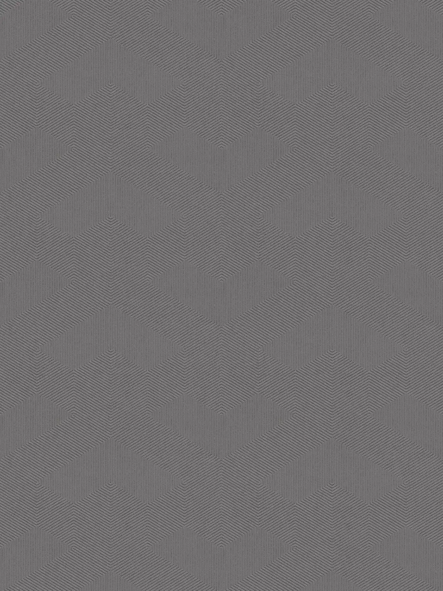 Carta da parati con motivo grafico 3D a trama opaca - grigio scuro
