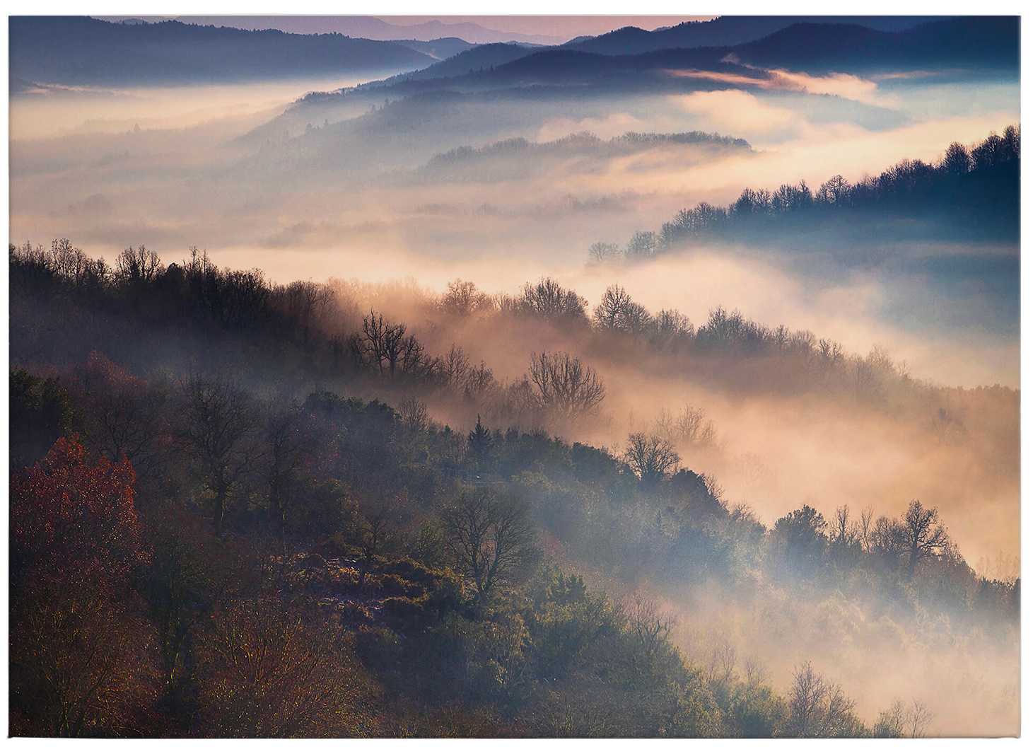             Tipomiadi Quadro su tela Panorama forestale nella nebbia - 0,70 m x 0,50 m
        