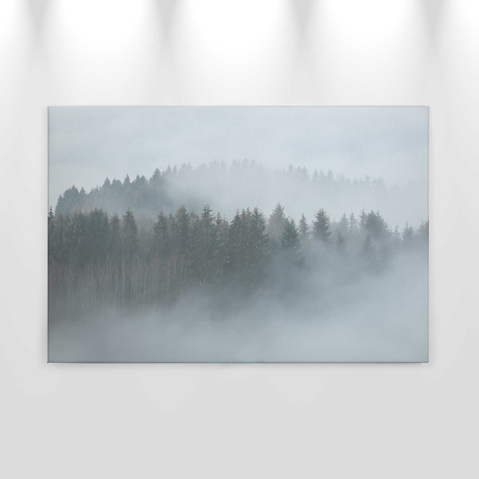             Lienzo con bosque misterioso en la niebla - 0,90 m x 0,60 m
        