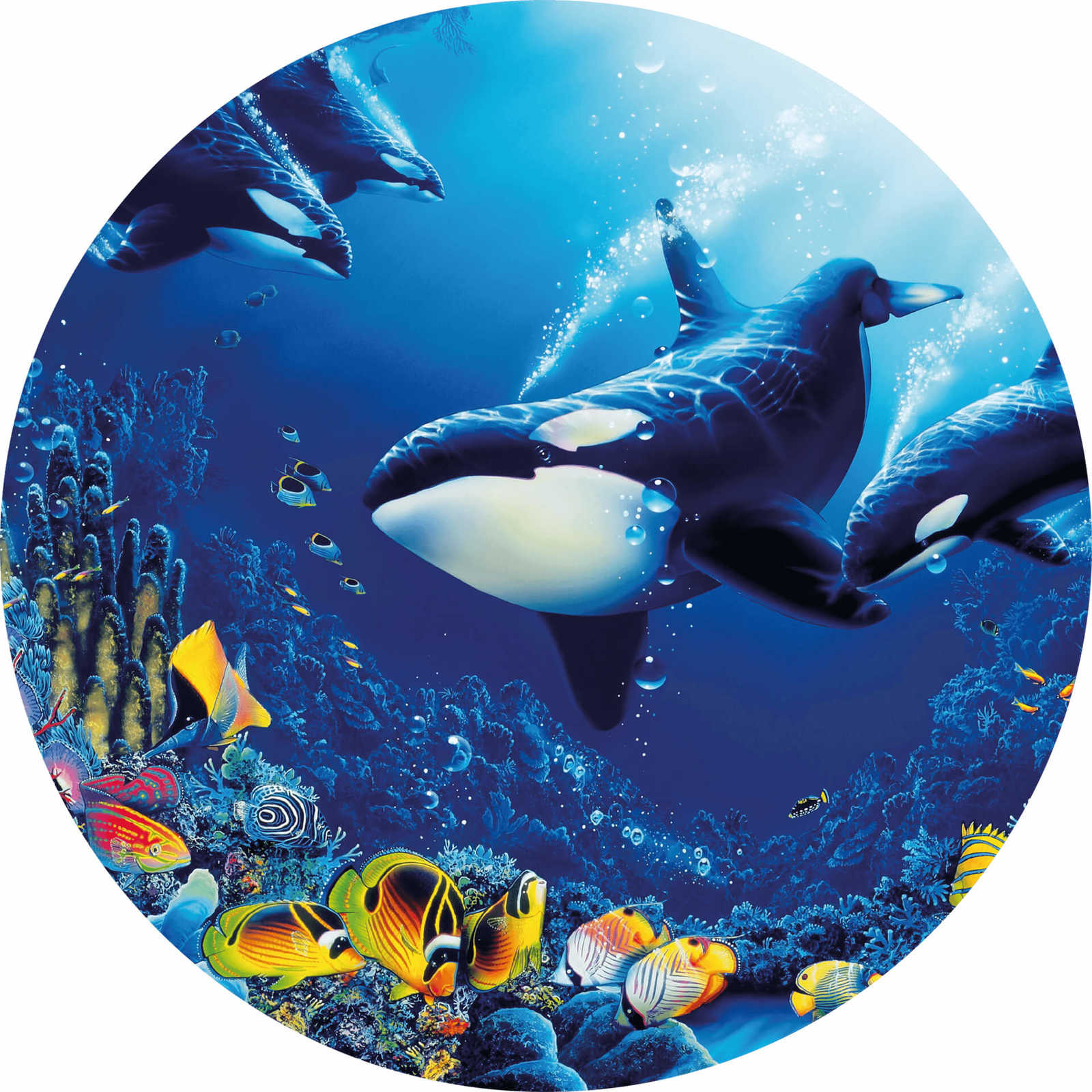         Round mural with underwater world and whales
    