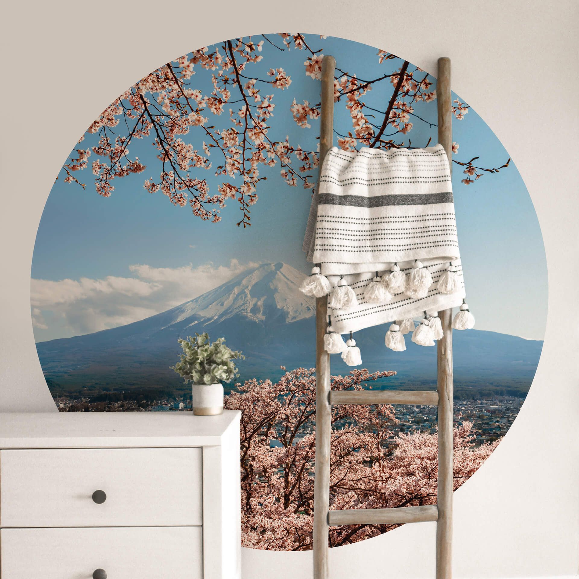 Photo wallpaper round Mount Fuji in Japan