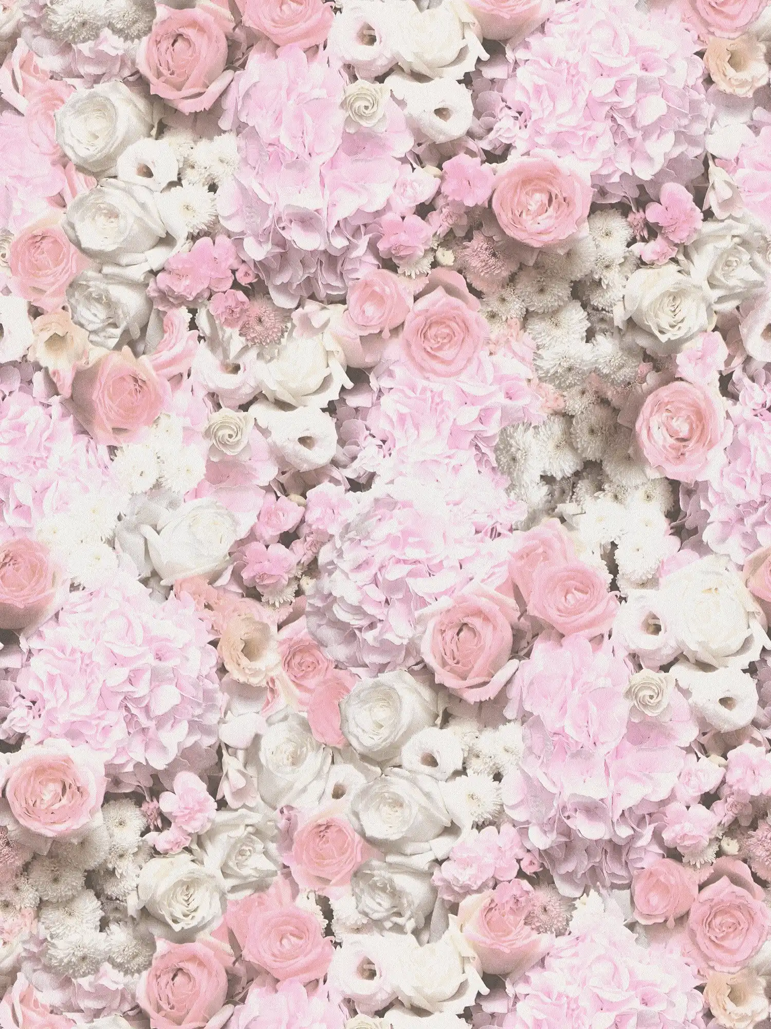 Papier peint motifs roses et fleurs - rose, blanc
