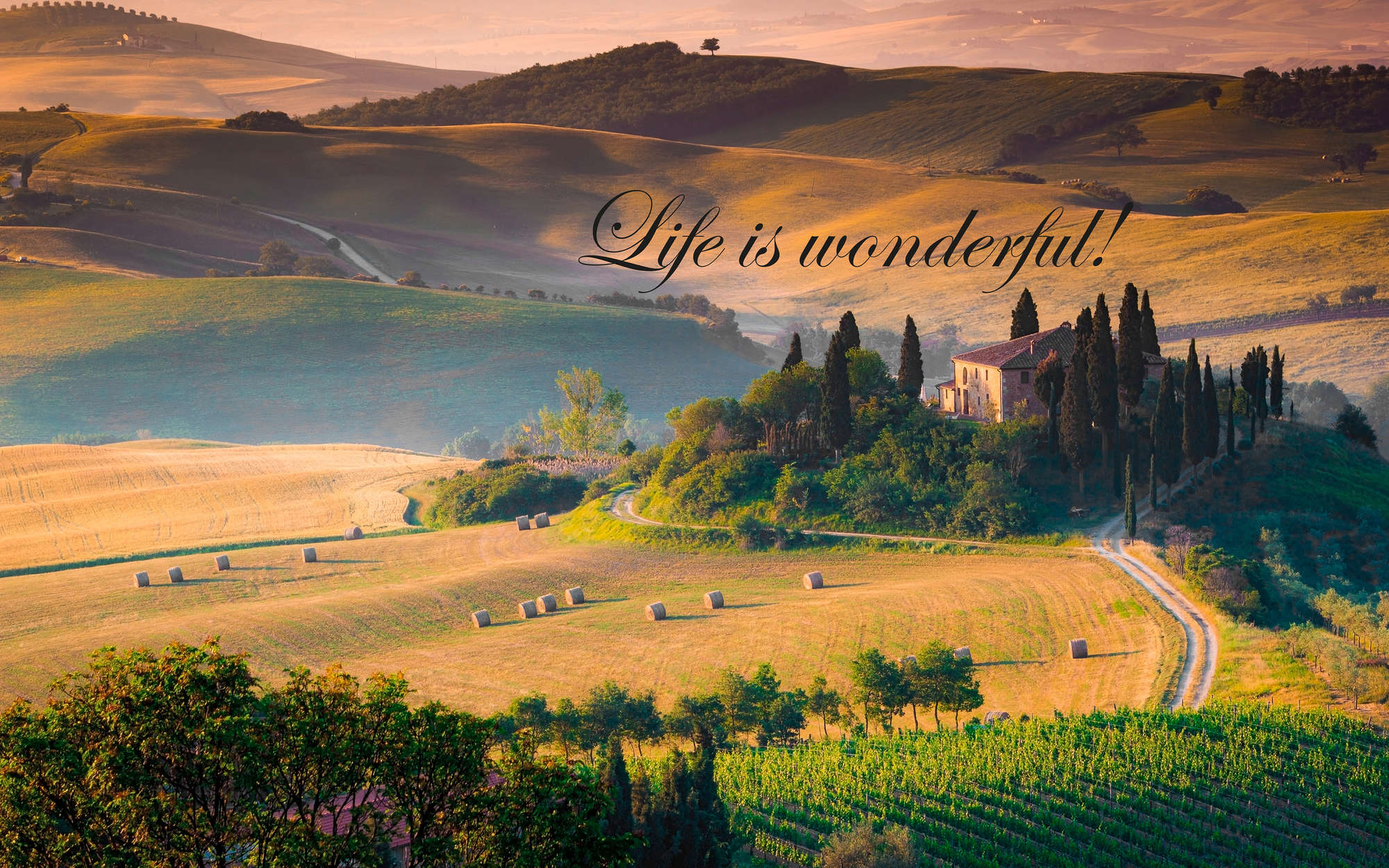             Photo wallpaper Tuscany with writing "Life is wonderful!" - Mother of pearl smooth fleece
        