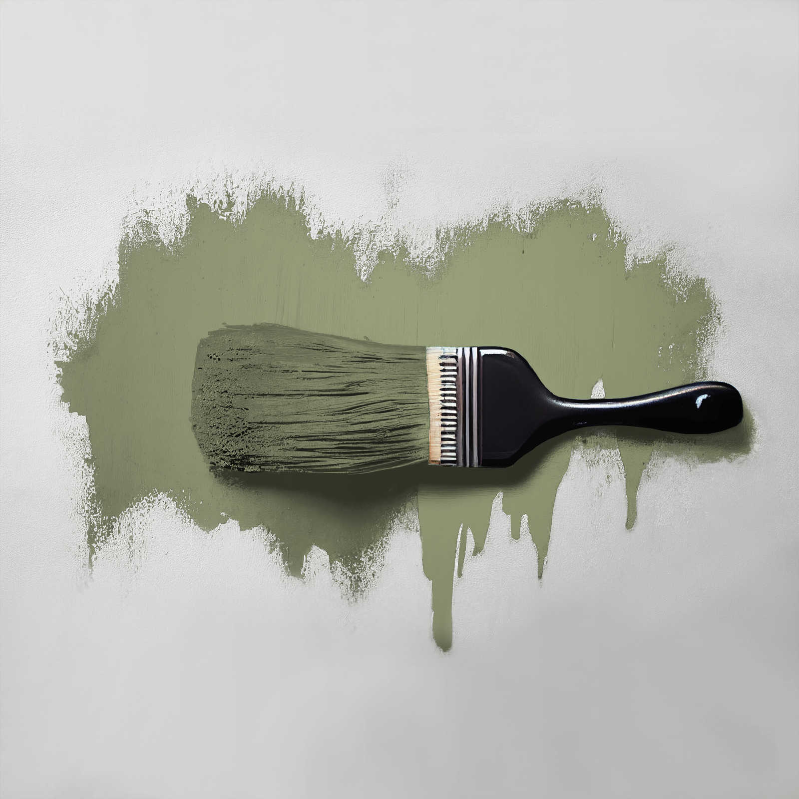            Wall Paint TCK4002 »Balmy Basil« in homely green – 2.5 litre
        