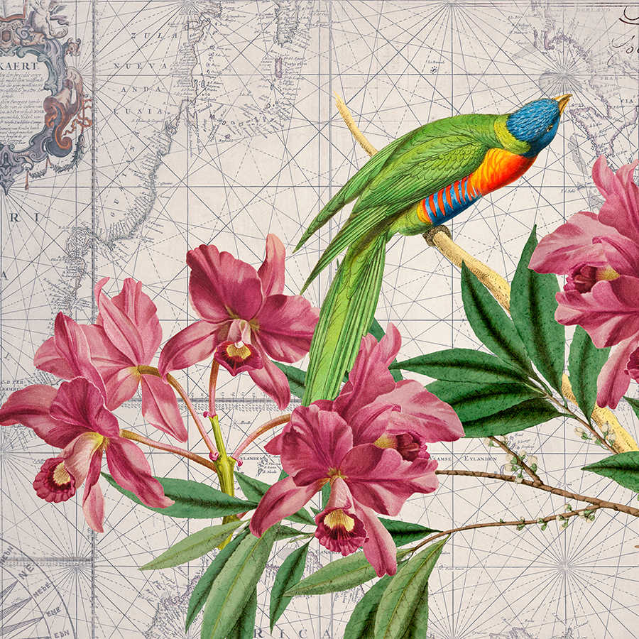         Photo wallpaper vintage maps look, parrot & flowers
    