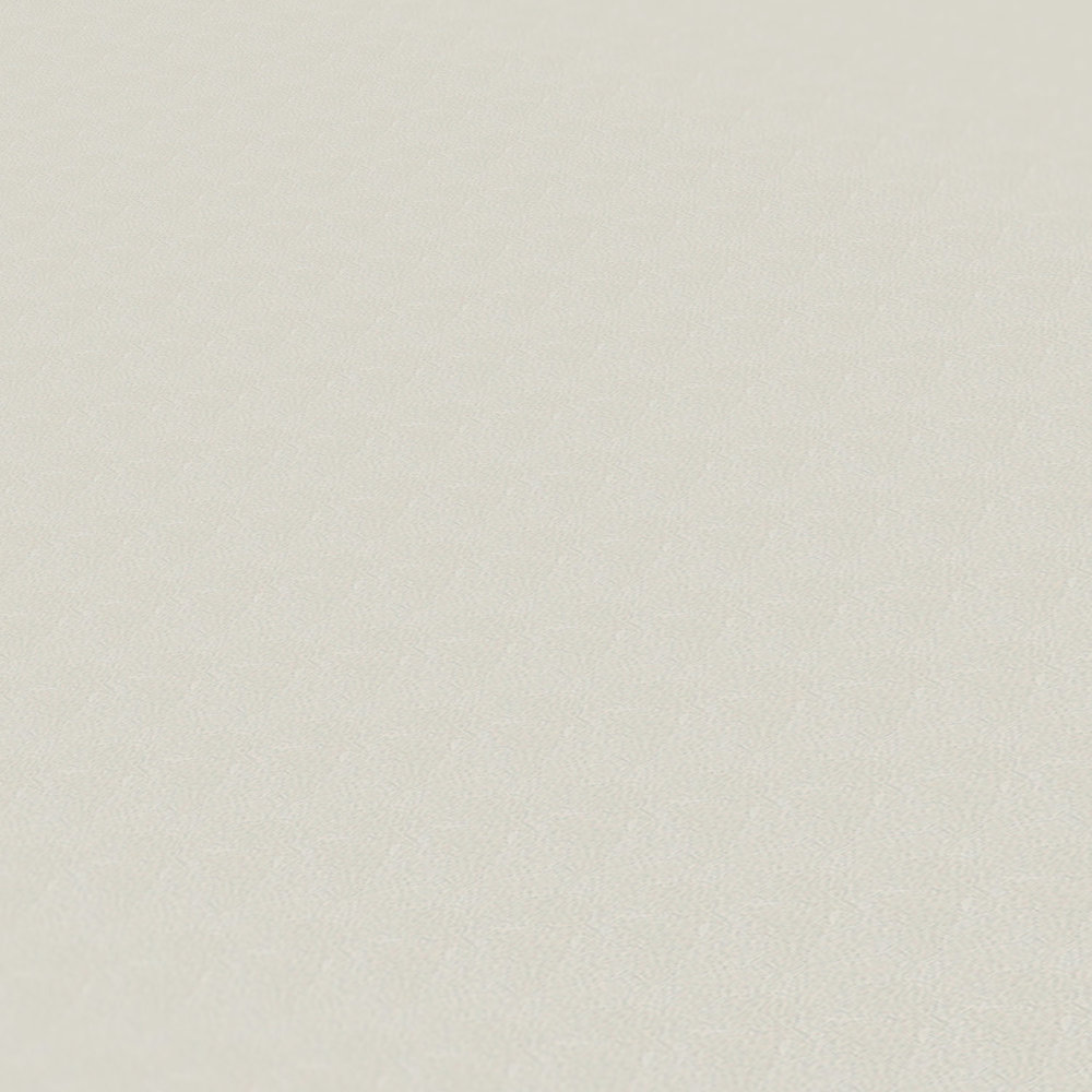             Papier peint Karl LAGERFELD avec motif de profil - beige, gris
        