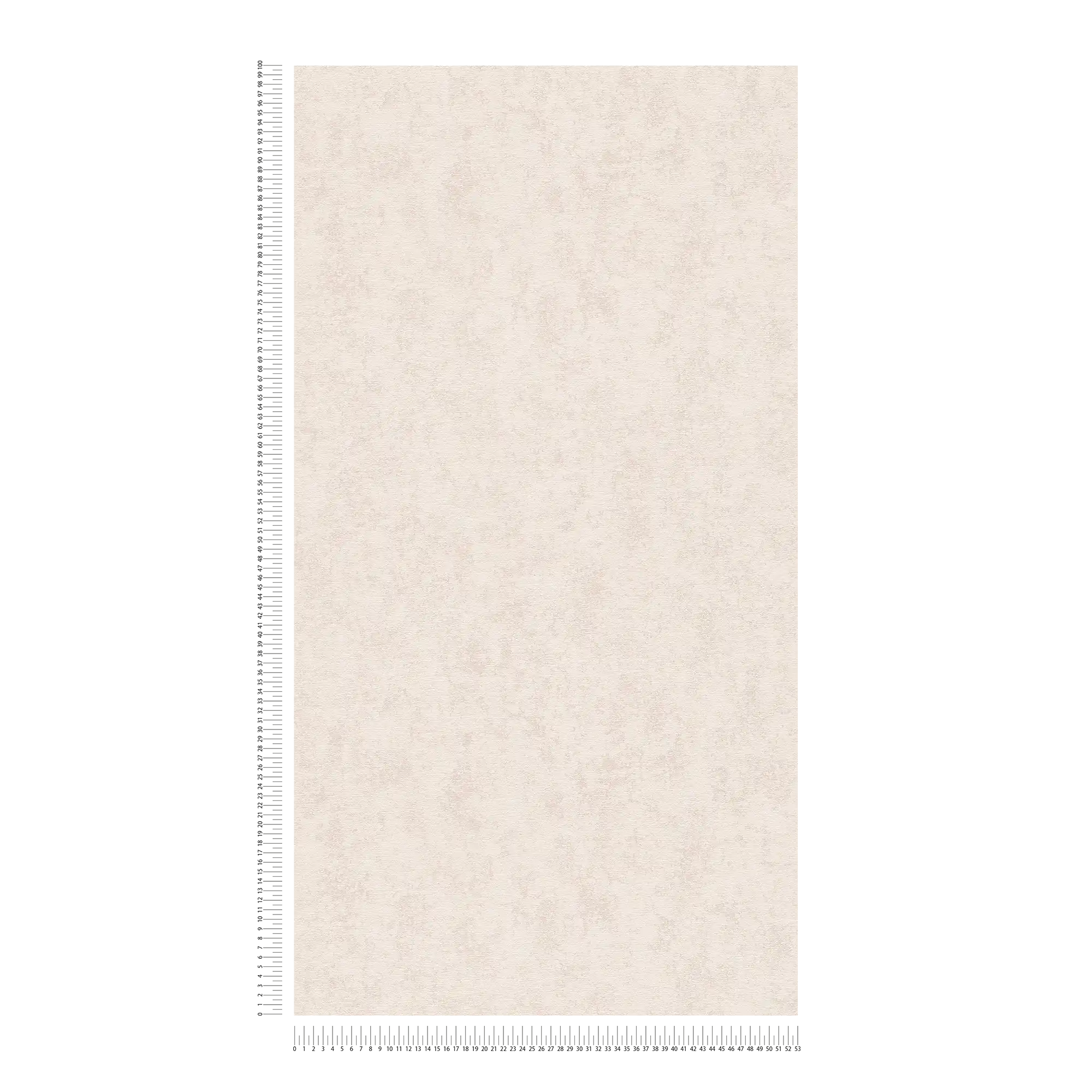             Carta da parati Plaster optics beige chiaro in stile scandi - beige, grigio
        