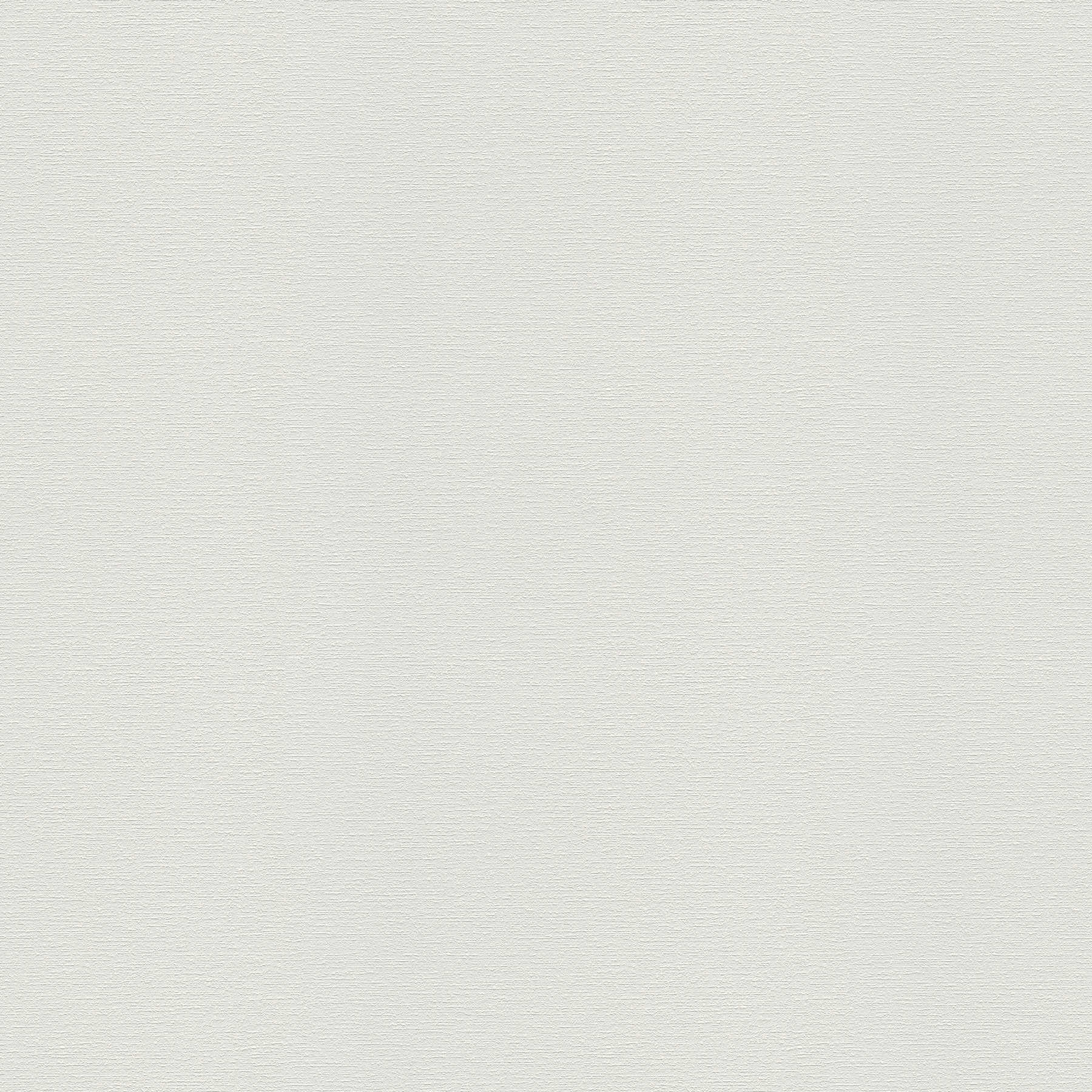 Papier peint intissé blanc uni avec motifs structurés

