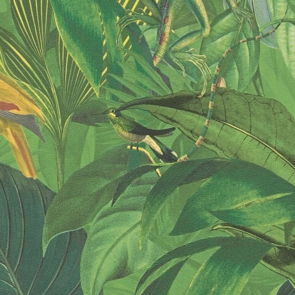             Jungle behang met dieren, kindermotief - groen
        