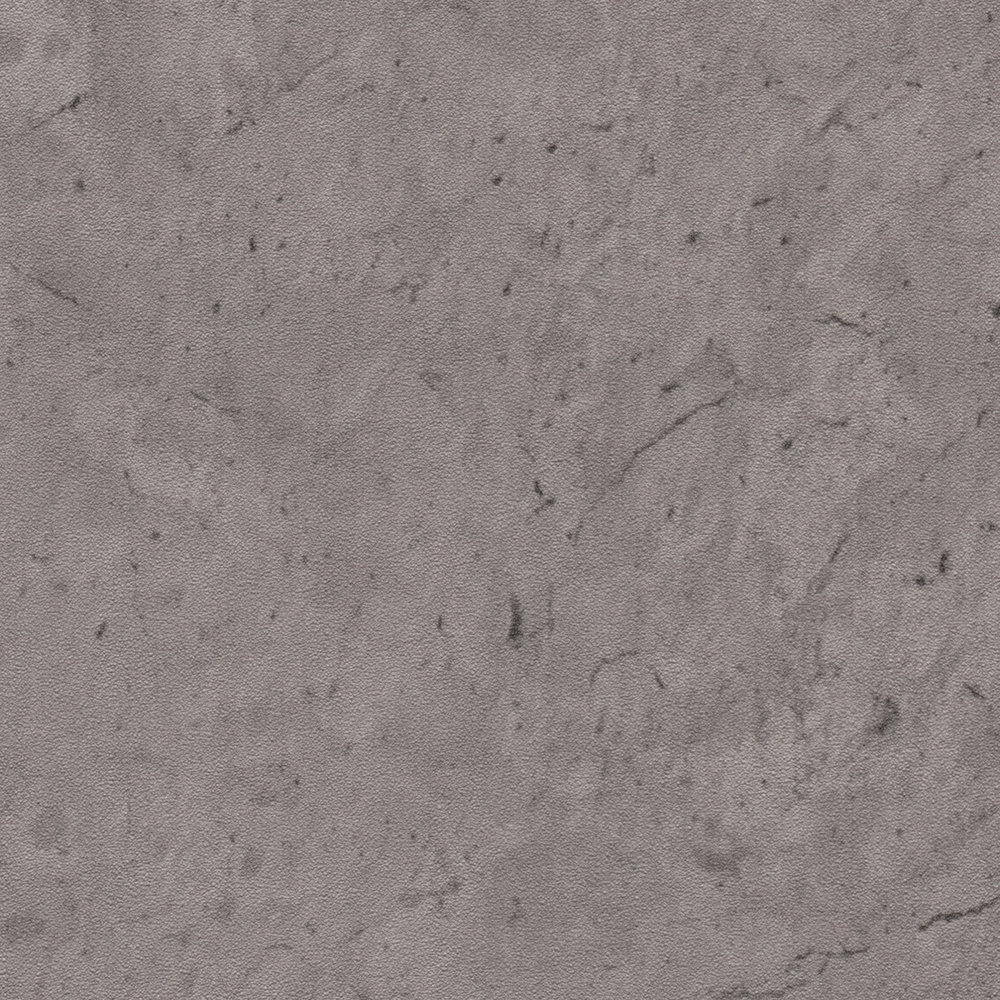             Donker eenheidsbehang met een subtiele betonlook - grijs
        