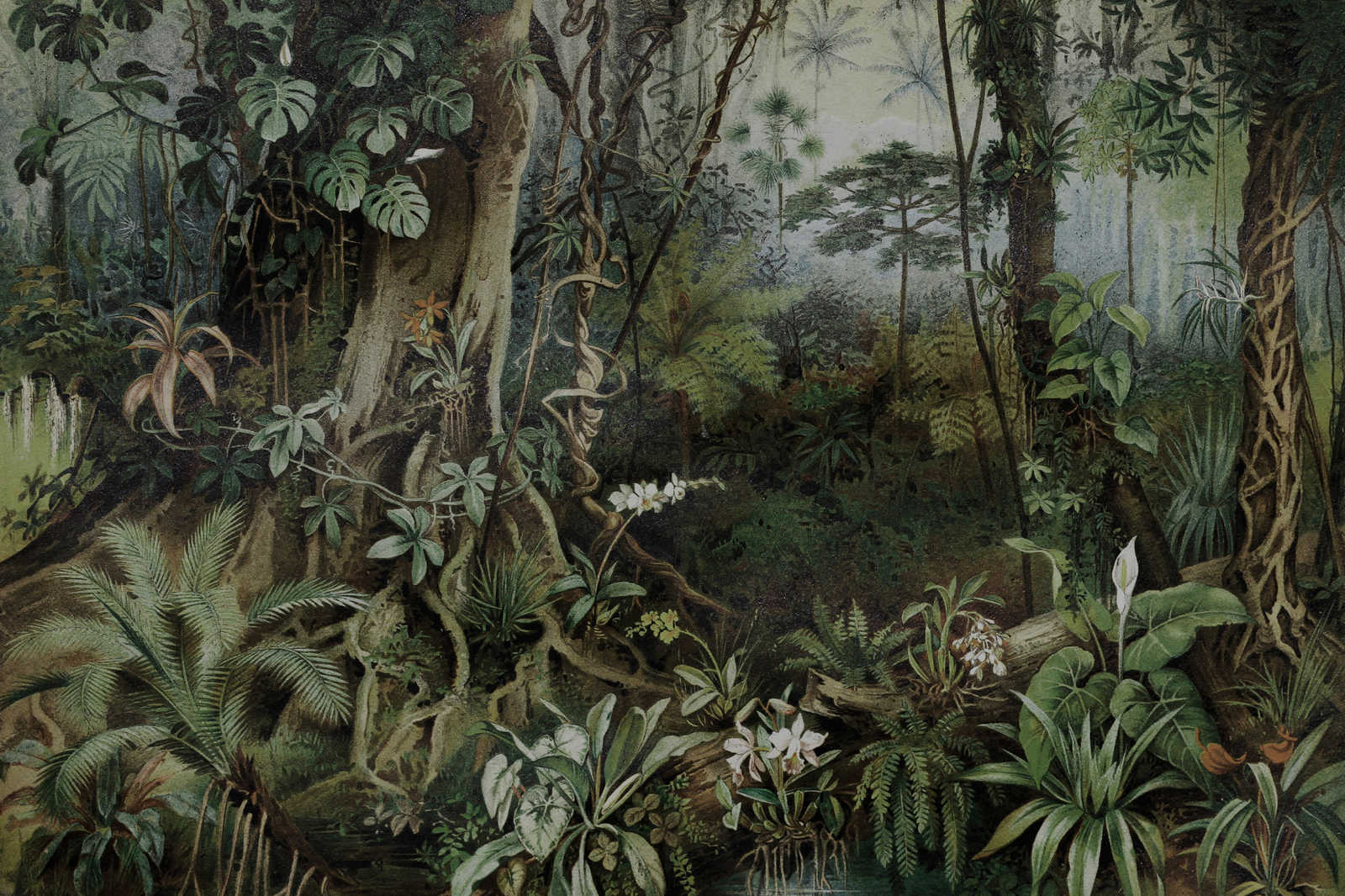            Jungle canvas schilderij in tekenstijl | muren door patel - 0,90 m x 0,60 m
        