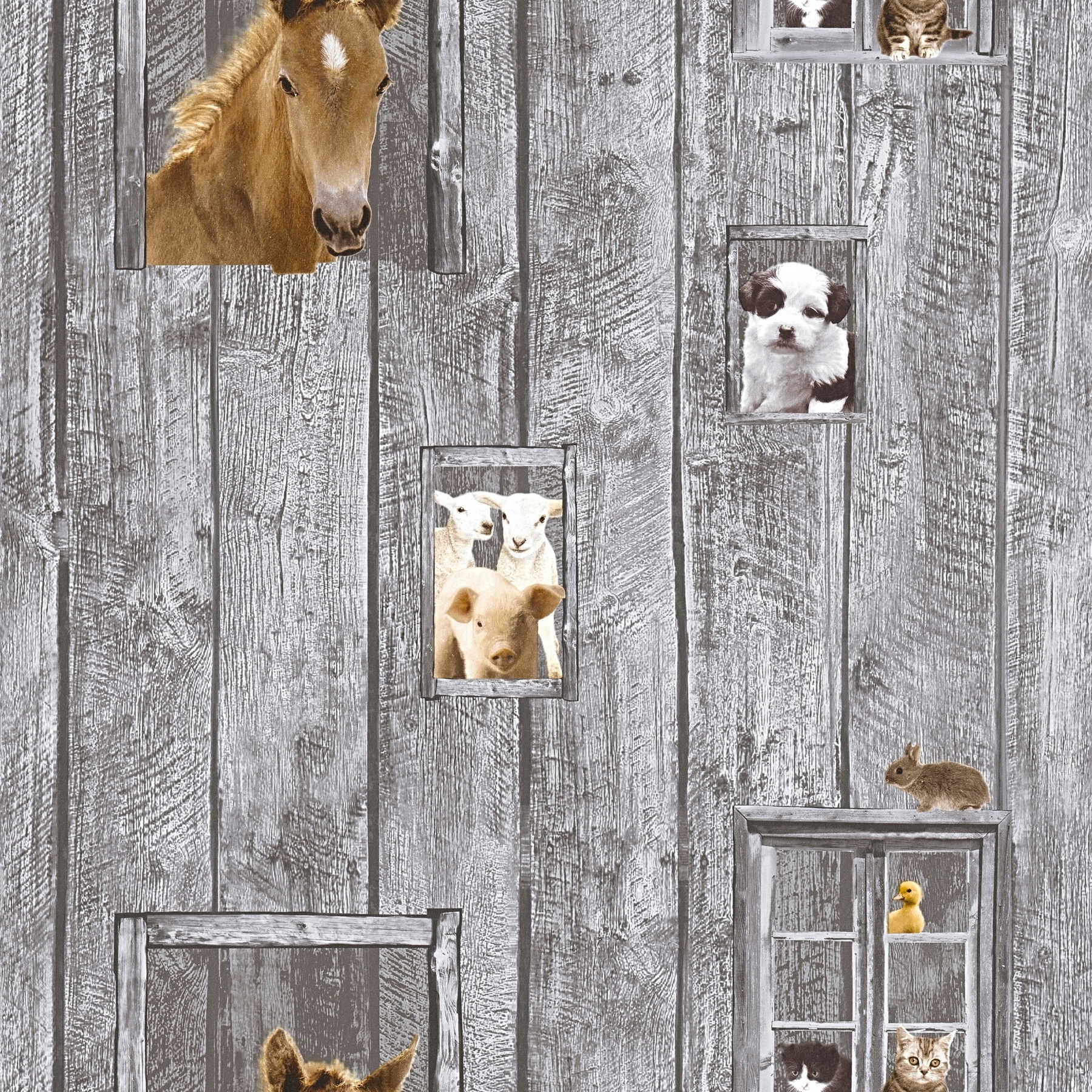 Nursery wallpaper animal babies & wood look - colourful, grey

