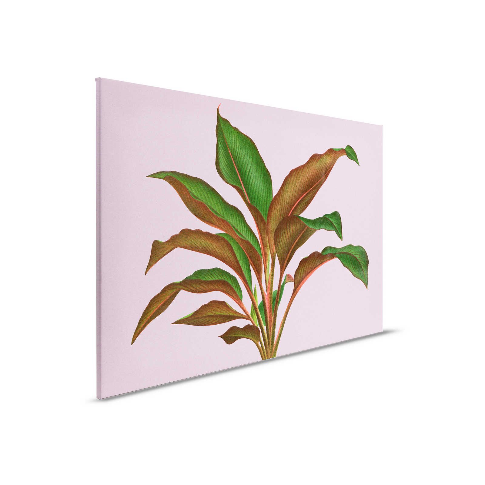 Leaf Garden 3 - Leaves Canvas painting Pink with tropical fern leaf - 0.90 m x 0.60 m
