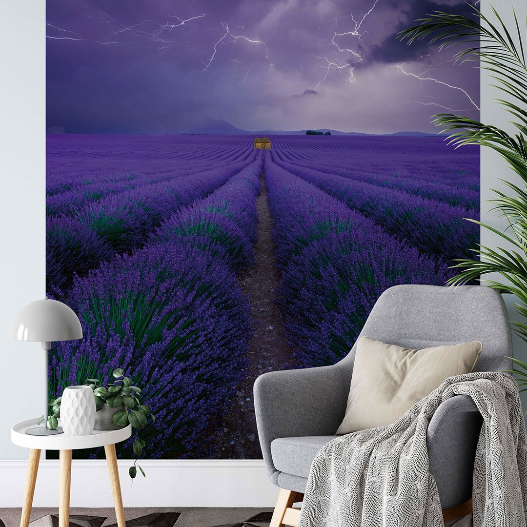 Photo wallpaper lavender field wallpaper in the living room DD119090