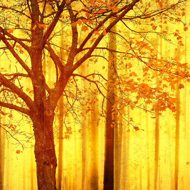 Papier peint Forêt avec structure en béton & dégradé de couleurs - orange, jaune, noir
