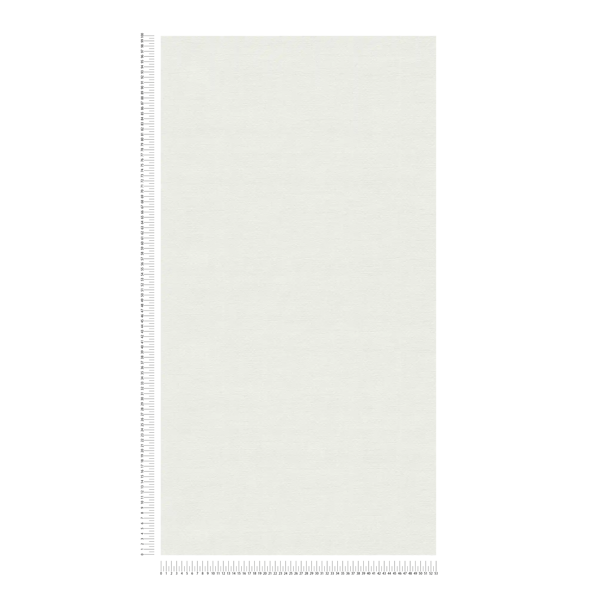             Papier peint intissé à motif finement structuré - gris clair, blanc
        