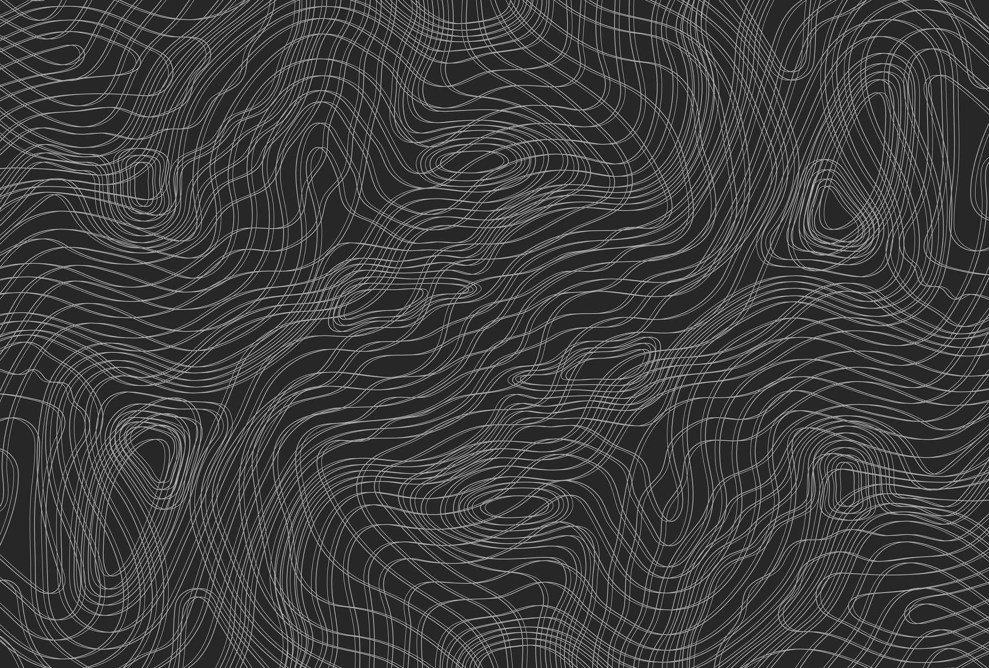             Dark line pattern mural, minimalist - black, white
        
