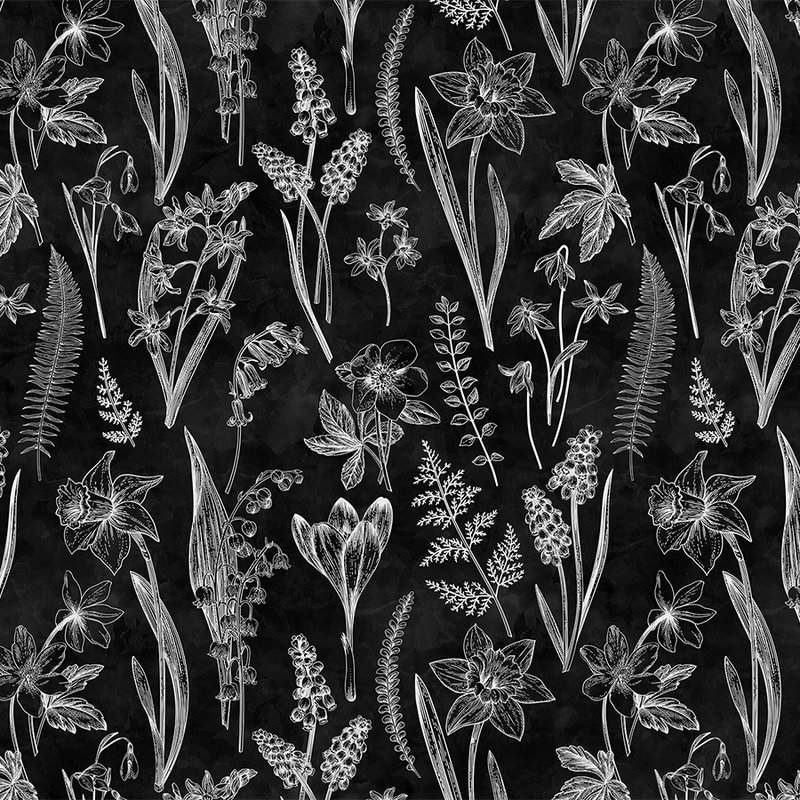 Photo wallpaper black and white botanical design
