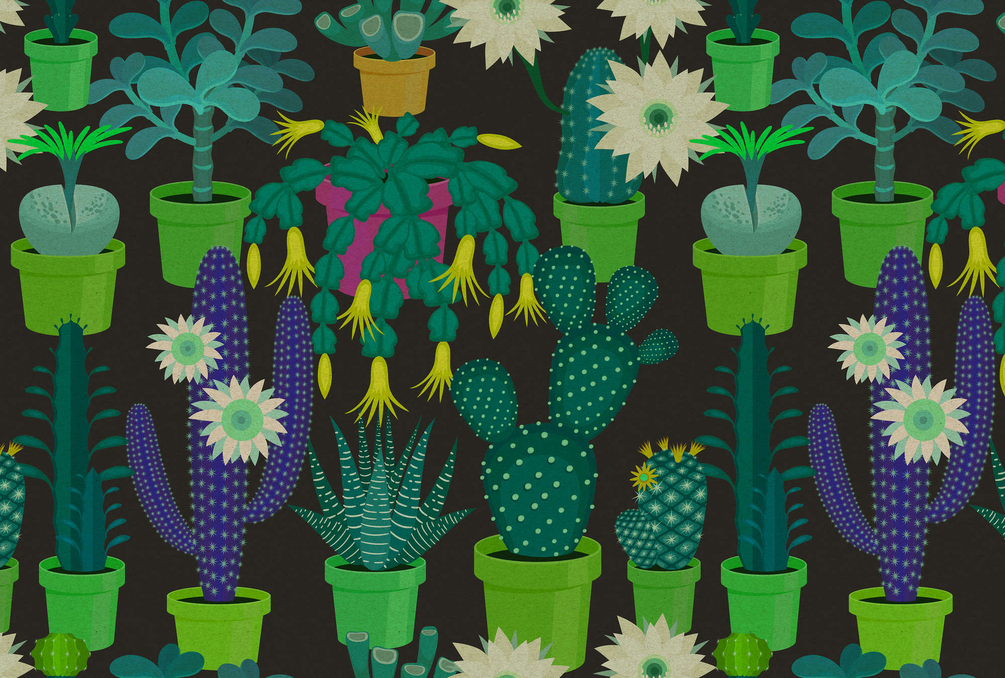             Cactus garden 2 - Photo wallpaper with colourful cacti in comic style in cardboard structure - Green, Black | Matt smooth fleece
        