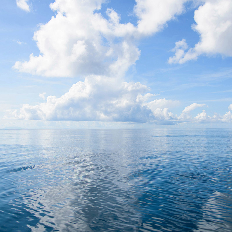 Digital behang open zee met wolken - parelmoer glad vlies
