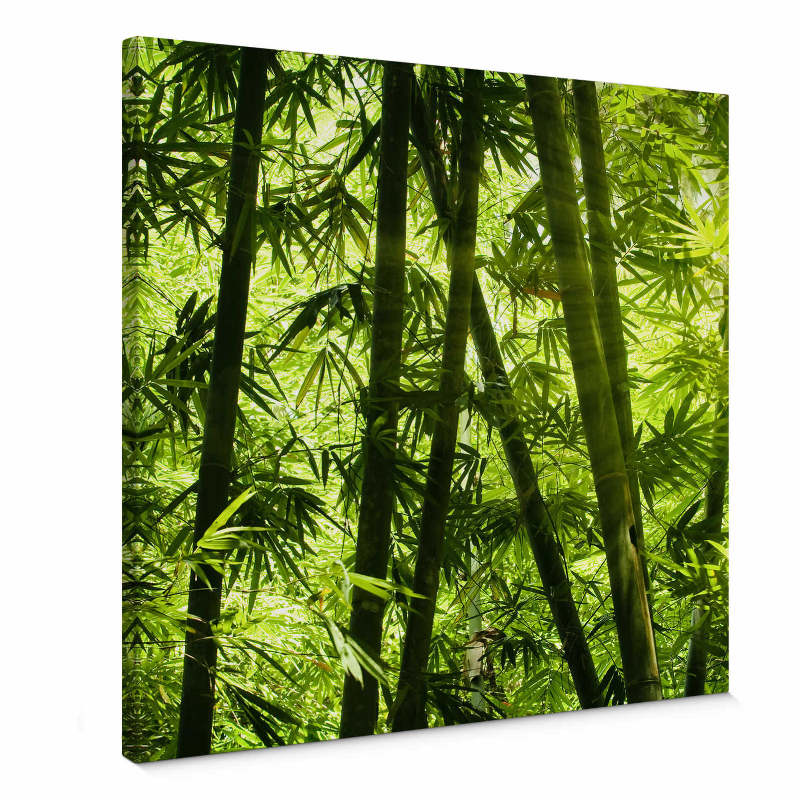         Square canvas print bamboo forest and sunshine
    
