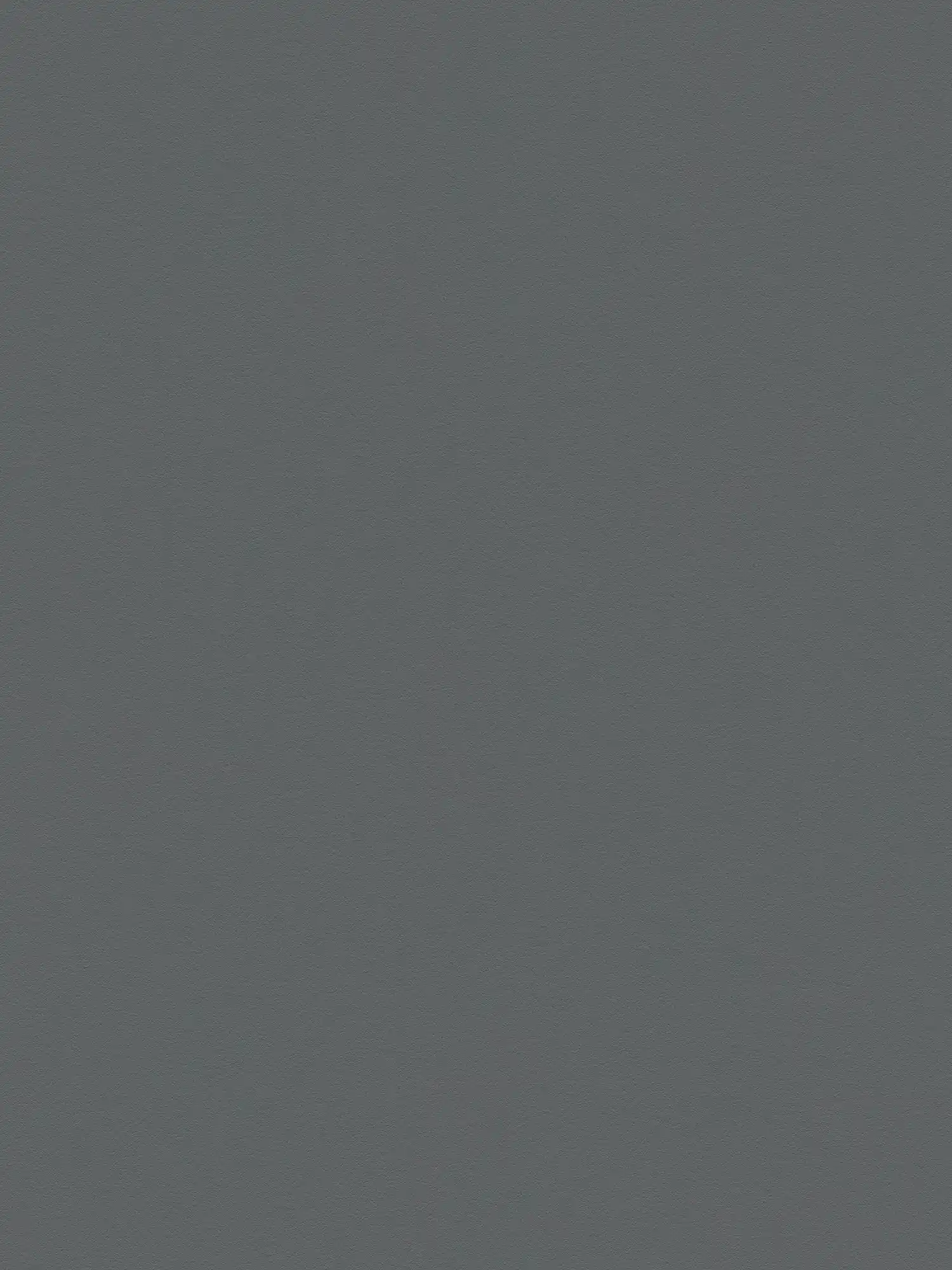 Plain wallpaper dark grey anthracite matt & textured
