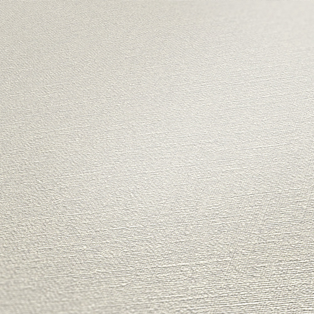             Light grey wallpaper plain & matte with texture pattern
        