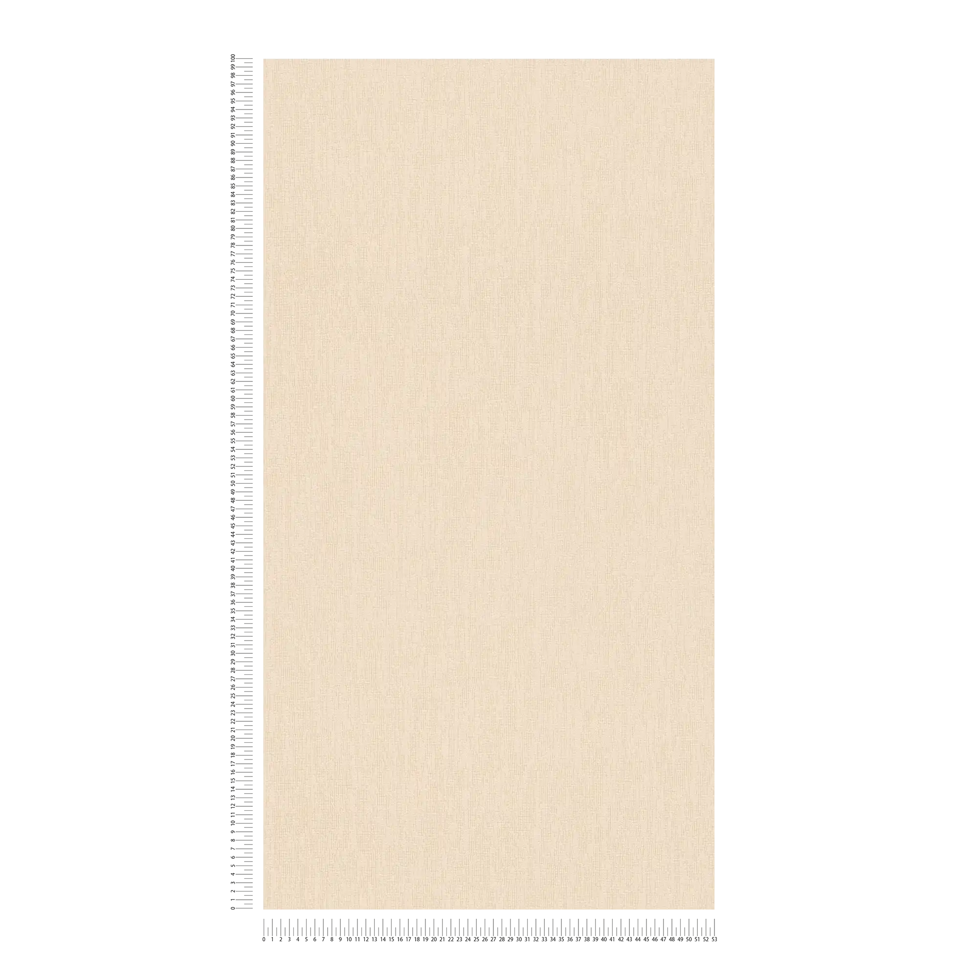             Papier peint beige uni avec détails structurés dans le style Scandi
        