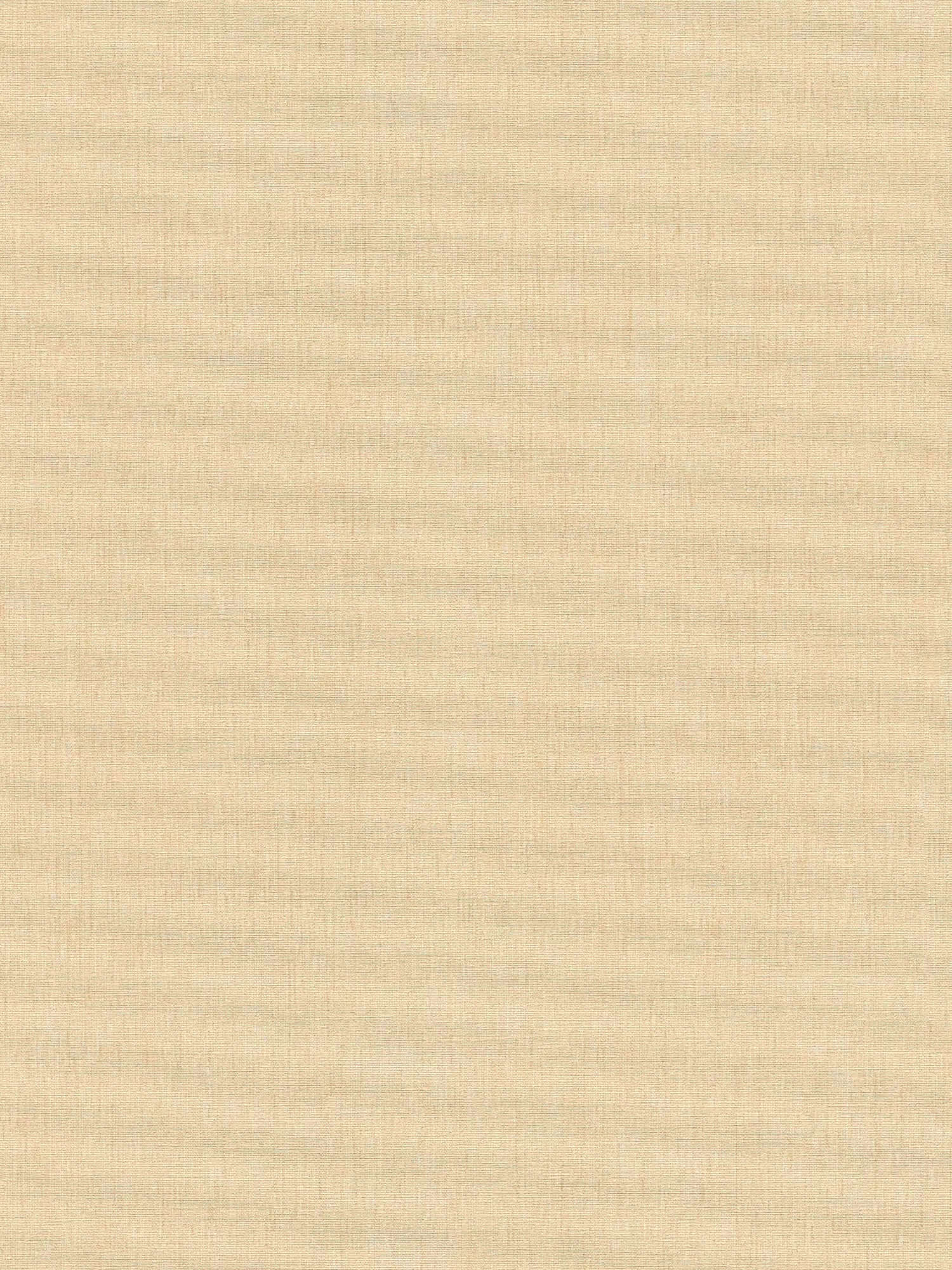 Non-woven wallpaper with a light textile look in a simple colour tone - Beige
