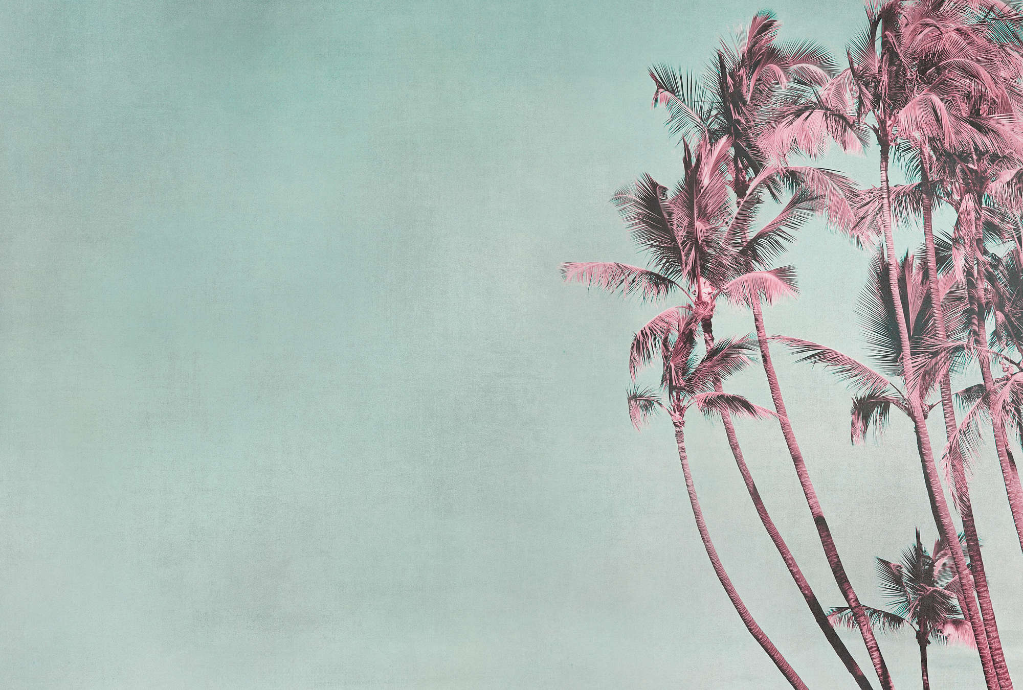             Papier peint panoramique palmier Tropical Breeze en turquoise & rose
        